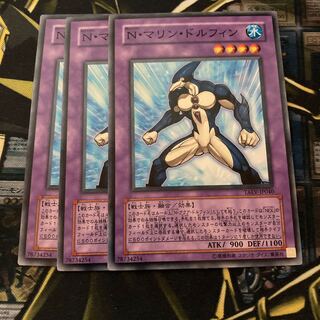 マドレース2472N・マリン・ドルフィン ノーマル