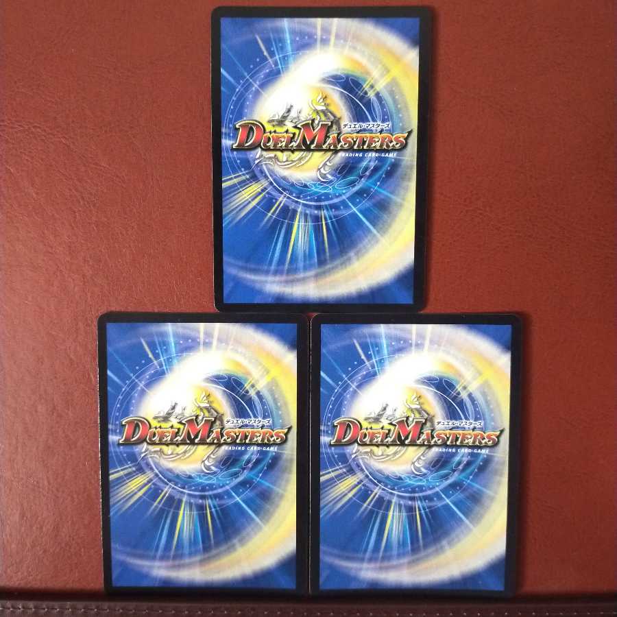 セット割引 大革命のD ワイルド・サファリ・チャンネル