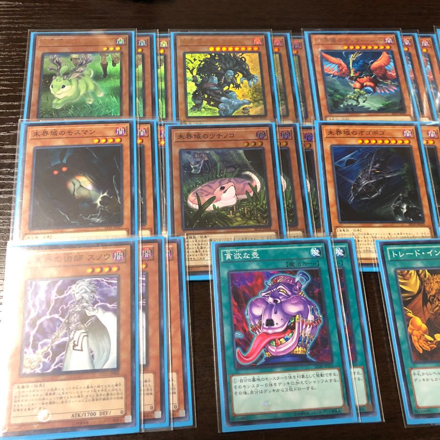 未界域暗黒界デッキ専用