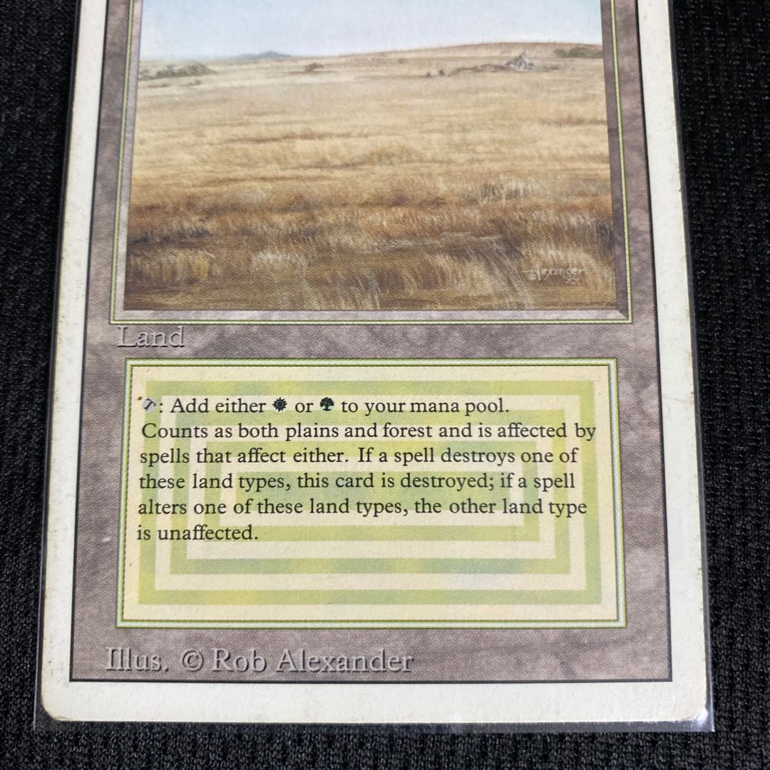 Savannah 3ED 状態HP 1枚