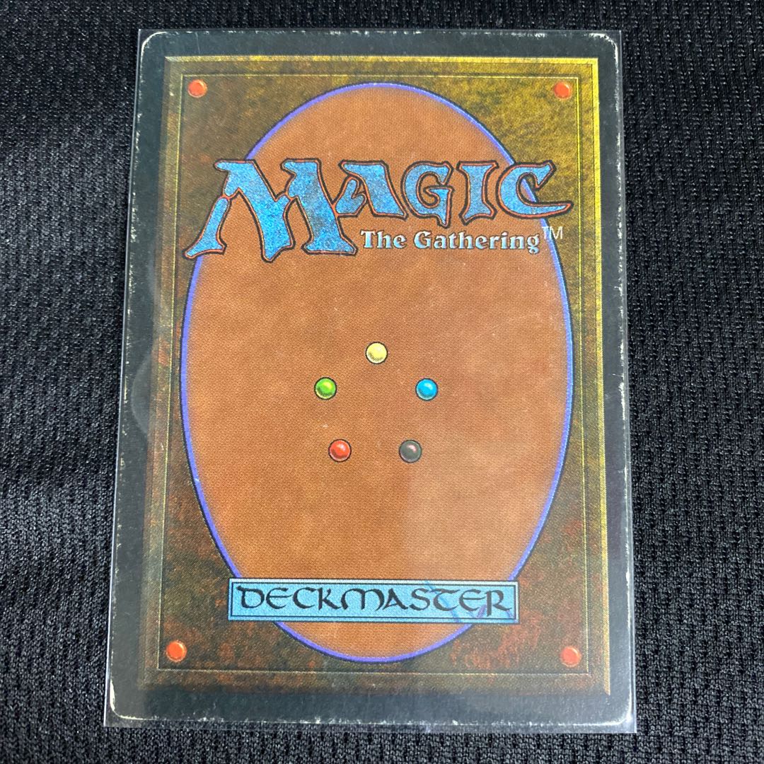 Savannah 3ED 状態HP 1枚