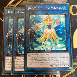 マドレース781海晶乙女コーラルアネモネ ノーマル