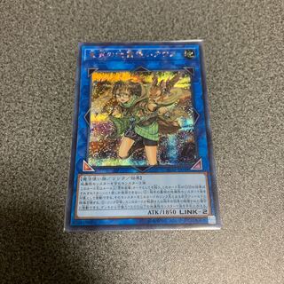 崔嵬の地霊使いアウス シク