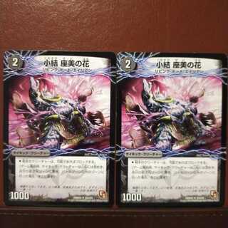 セット割引　小結 座美の花｜雲龍 ディス・イズ・大横綱(下)