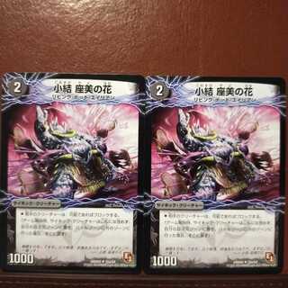 3/31発送分　セット割引　小結 座美の花｜雲龍 ディス・イズ・大横綱(下)