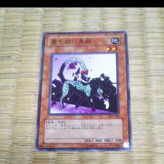 遊戯王 尾も白い黒猫 YGO-57