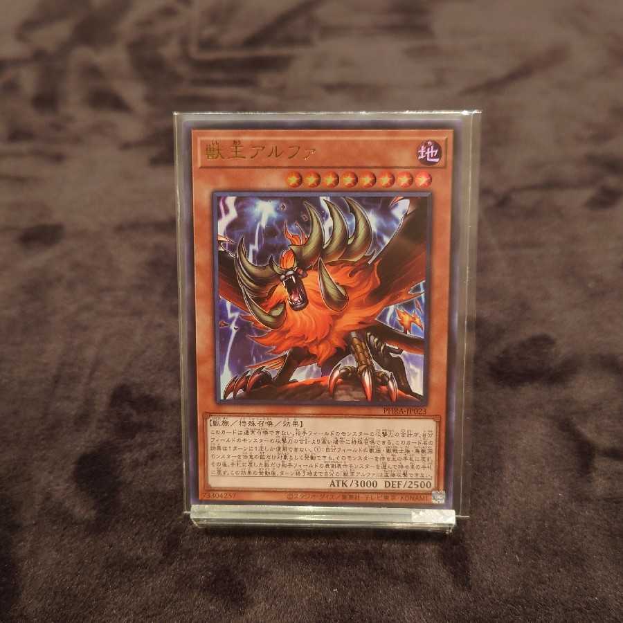 獣王アルファ　カオステリトリー