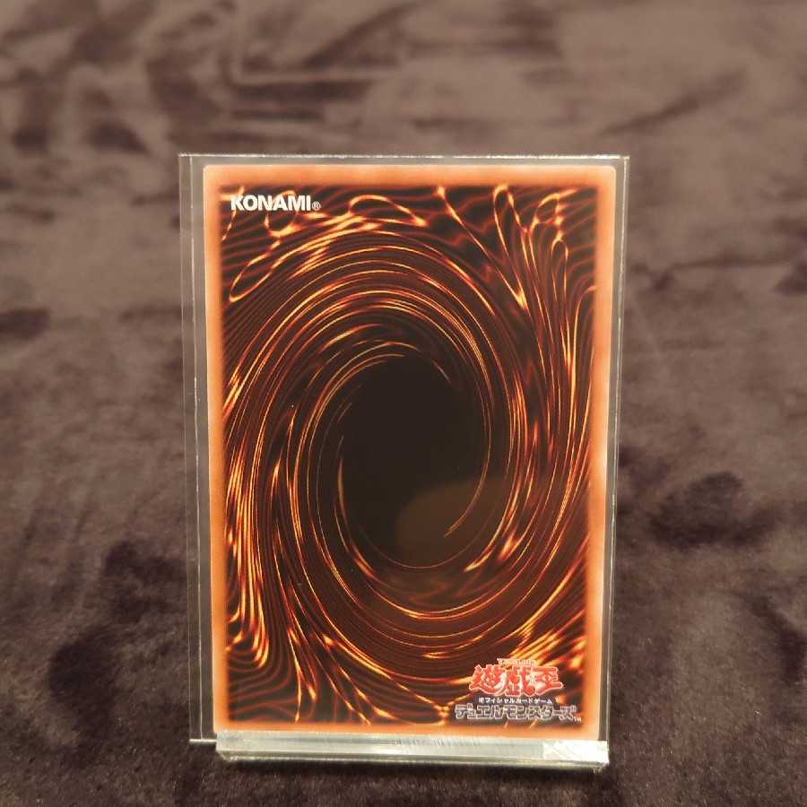 獣王アルファ　カオステリトリー