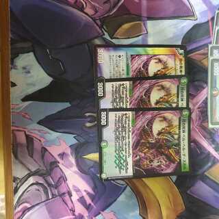 ベルヘルデスカル