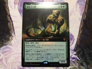 探索する獣　フルアートfoil