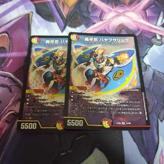 ハヤブサリュウ