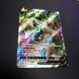 専用 イエッサン ゴリランダーV SR