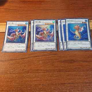 瑚之龍 たつのこ 各3枚