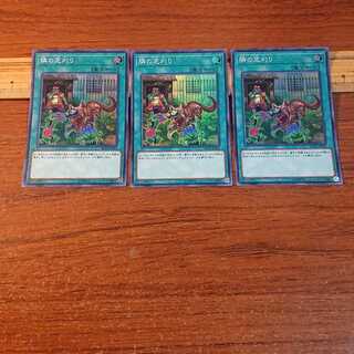 隣の芝刈り スーパーレア 3枚