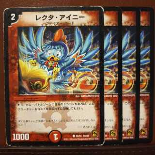 セット割引　レクタ・アイニー(通常)