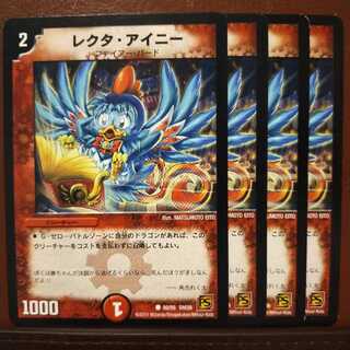 セット割引　レクタ・アイニー(通常)