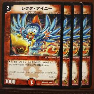 セット割引　レクタ・アイニー(通常)