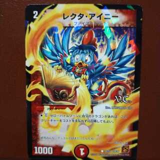 セット割引　レクタ・アイニー(V.C)