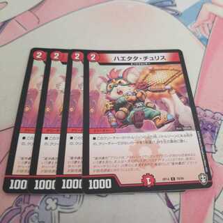 ハエタタ・チュリス