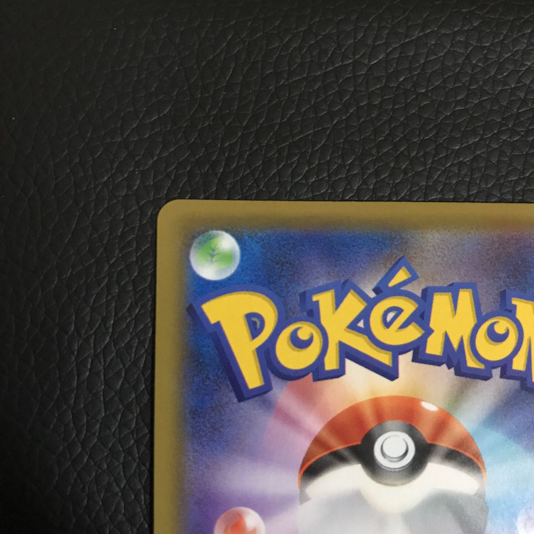 アローラの仲間たち