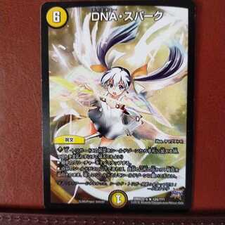 セット割引　DNA・スパーク