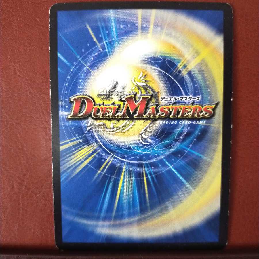 セット割引 DNA・スパーク