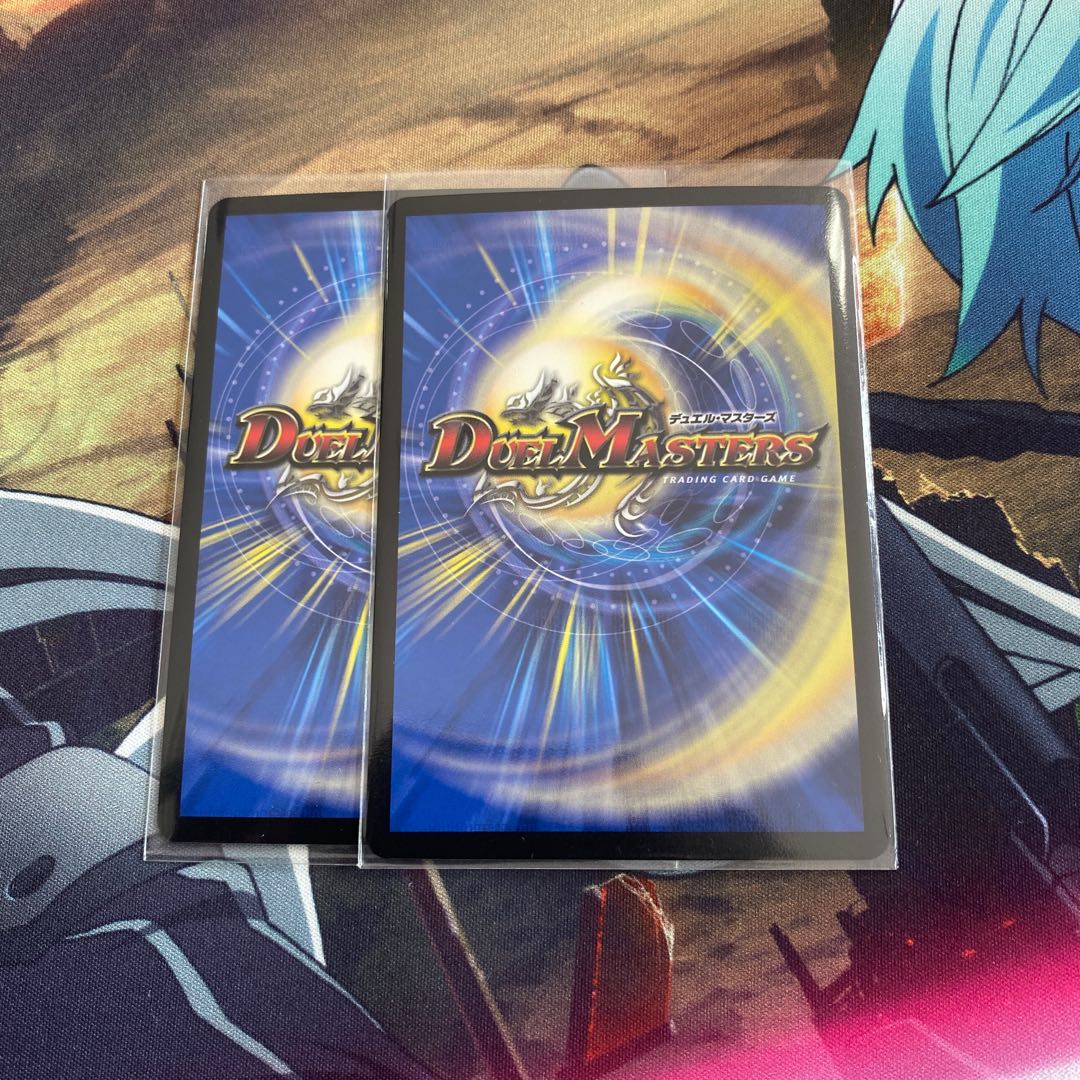 ガンヴィー龍樹2枚セット