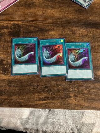 ハーピィの羽根帚 ウルトラレア