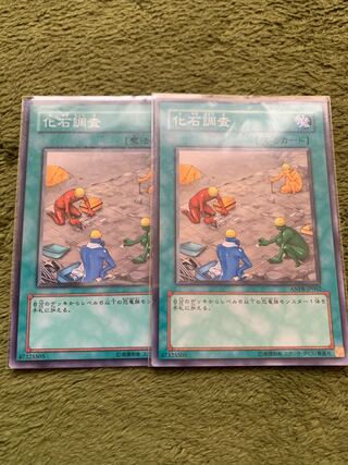 化石調査 ノーマル2枚