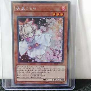 【遊戯王】灰流うらら　シークレット