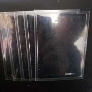 微キズ大特価滅亡の起源 零無/零龍　シク