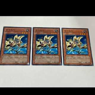 遊戯王 対空放花 3枚　型番あ-3223