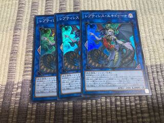 レプティレス・エキドゥーナ