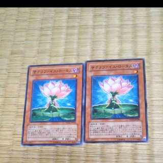 Yu-Gi-Oh! Samsara Lotus YGO-81