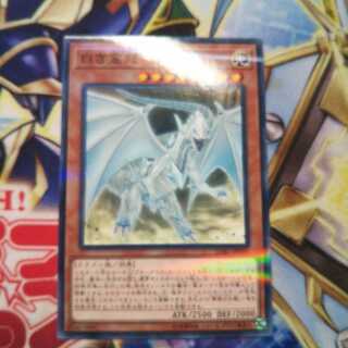 白き霊龍 パラレル ノーマル