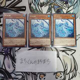 693　彩宝龍3枚set