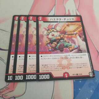 ハエタタ・チュリス