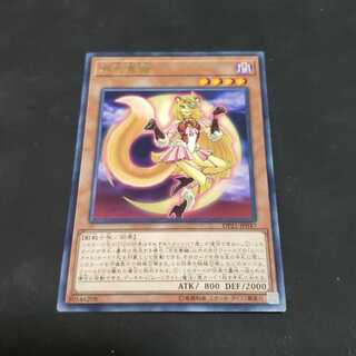 月光黄鼬 レア 遊戯王 虎ふぐ