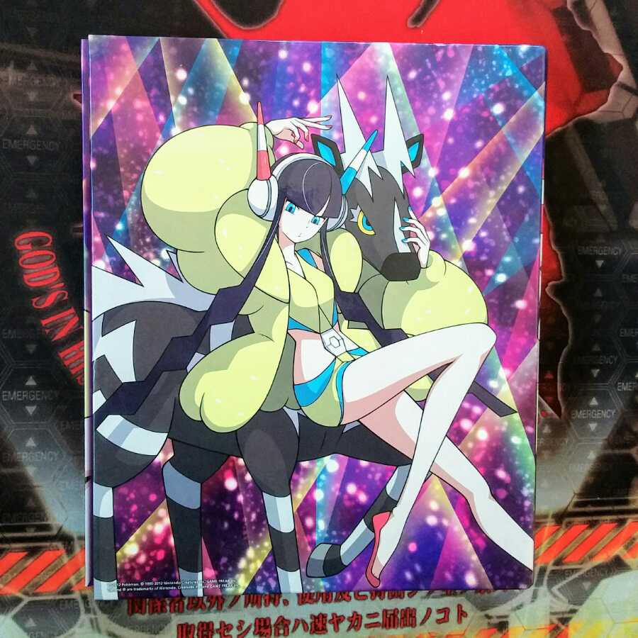 くろ様専用 カミツレ カードファイルver.2