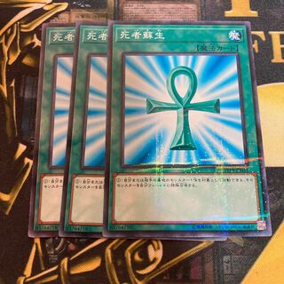 マドレース1970死者蘇生 パラレル ノーマル