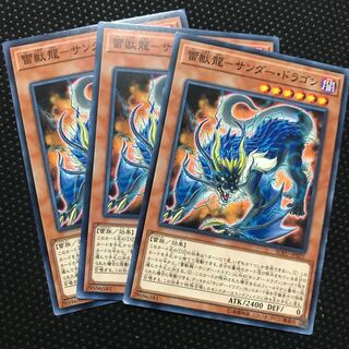 雷獣龍-サンダー・ドラゴン