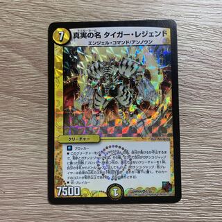 真実の名 タイガー・レジェンド VR