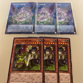 クラリアの蟲惑魔 SR ジーナの蟲惑魔　N