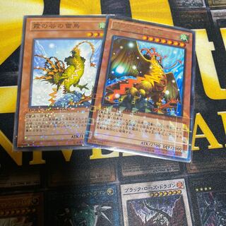 霞の谷の巨神鳥　雷鳥