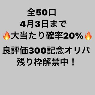 販売終了【良評価300(行く予定)記念オリパ】