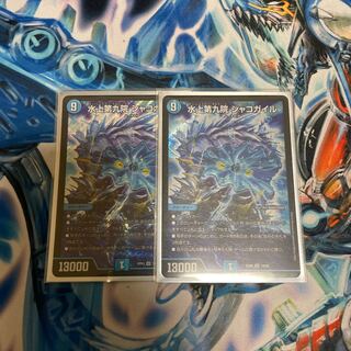 水上第九院 シャコガイル SR