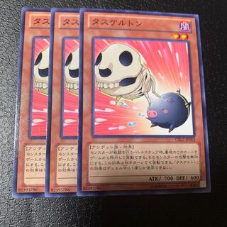 タスケルトン ノーマル