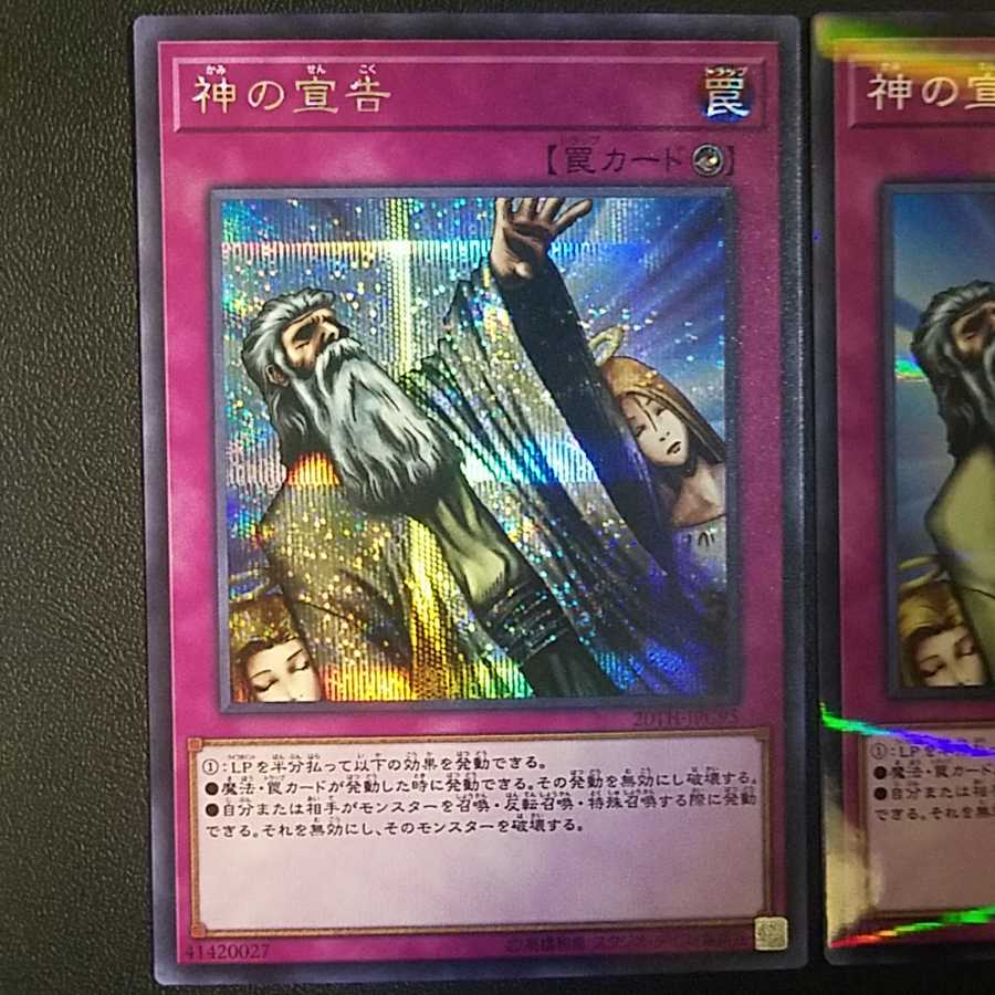 ユウキ様専用)神の宣告シクおまけつき