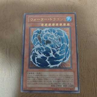 ウォータードラゴンレリーフ