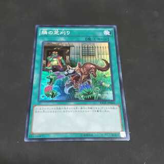 隣の芝刈り スーパーレア 遊戯王 虎ふぐ